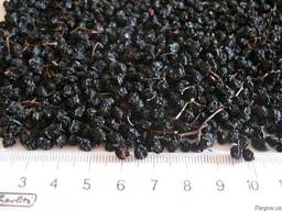 Смородина черная ягоды сушеные и лист сушёный