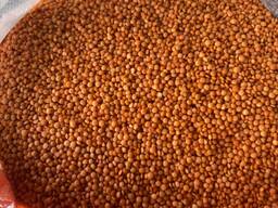 Сочевиця червона, зелена