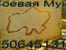 Соевая мука для подкормки пчел