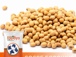 Соевая МУКА полножировая (протеин - 40%, жир - 26%)