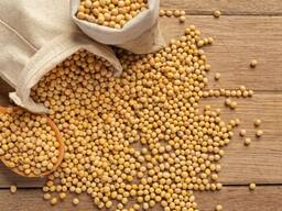 Куплю сою оптом від фермерів | Закупівля сої 20-5000 т | Самовивіз по Україні