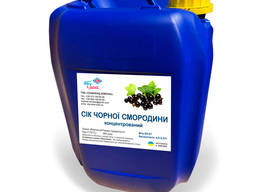 Сок черной смородины концентрированный 10л/13кг