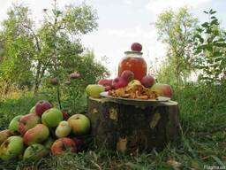 Сок яблочный домашний с горного сада Карпат.