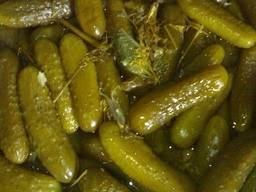 Солёные огурцы