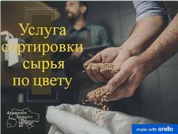 Сортировка по цвету, фотосепоратор, очистка зерна.