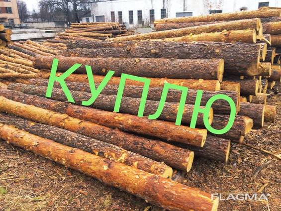СОСНА ясень дуб куплю кругляк пиловочник