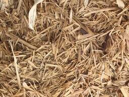 Соснова стружка і тирса