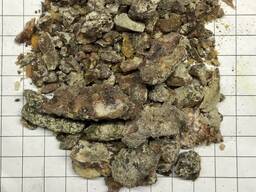 Соснова живиця