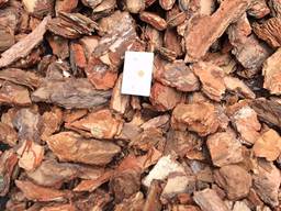 Сосновая кора