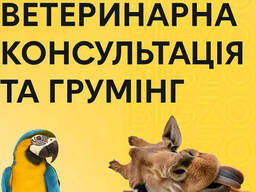 Спеціалісти здоров'я різних тваринок, консультація, екзотичні