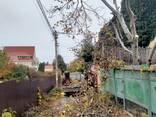 Спил дерева, покос травы , расчистка участков вывоз мусора О - фото 3