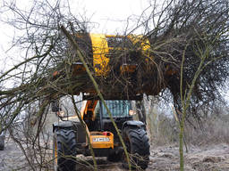 Послуги спилювання дерев. Корчування пнів. Зачистка садів, посадок, полів