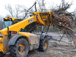 Послуги спилювання дерев. Корчування пнів. Зачистка садів, посадок, полів - фото 3