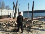 Спил деревьев, спилить деревья, ветки харьков - фото 2