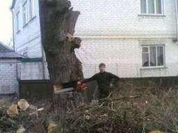Спил деревьев, спилить деревья, ветки харьков