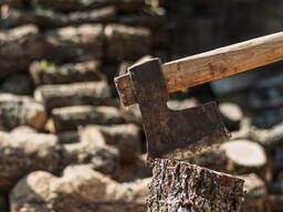 Спилим деревья и кустарники ветки и мусор вывозим