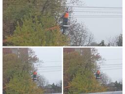 Зпилювання дерев на Русанівських садах у Києві