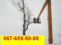 Спиливание деревьев , обрезка веток, кронирование деревьев