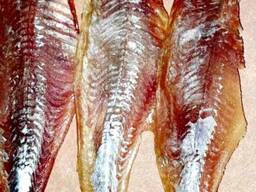 Спинка тарани вяленая. Рыбные и мясные снеки.