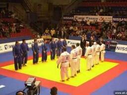 Спортивные маты (татами)