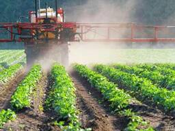 Средства защиты растений: гербициды, фунгициды