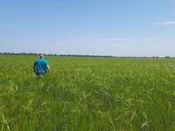 Недорого продам фермерское хозяйство в Одесской области.