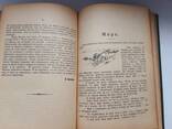 Старинная книга 1912г. Бичер-Стоу "Дрэд" и Карл Эвальд ", Сказки природы" - фото 7
