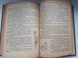 Старинная книга 1912г. Бичер-Стоу "Дрэд" и Карл Эвальд ", Сказки природы" - фото 12