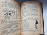 Старинная книга 1912г. Бичер-Стоу "Дрэд" и Карл Эвальд ", Сказки природы" - фото 15
