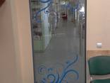 Стеклянные двери киев - фото 1