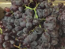 Продам столовый виноград