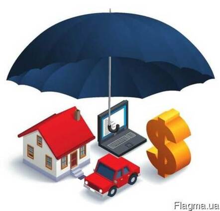 Страхование Имущества Предприятий И Организаций — Оказание Услуги В Днепре,  Flagma.ua #4439750
