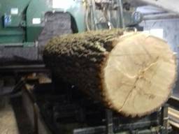 Стрічкова пилорама "Forestor"