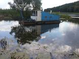 Строительство озера. Углубление дна. Чистка камыша. Водоем. - фото 5
