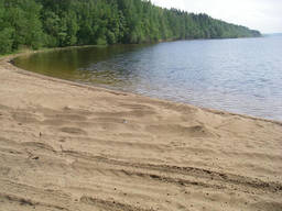 Строительство пляжа. Пляж. Песок для пляжа.