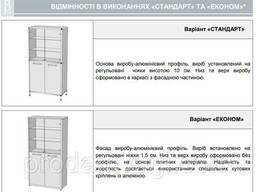 Шкаф для хранения реактивов ШЗР-2