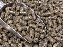 Dried distillers grains pellets — bulk export