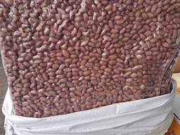 Сухофрукти в асортименті