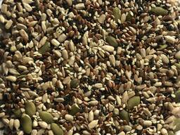 Суміш насіння