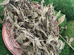 Сушена кропива, кропива, трава кропиви