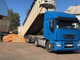 СУШКА ЗЕРНА. ОЧИЩЕННЯ. ЗБЕРІГАННЯ. Село ШИБЕНЕ, Київська обл.