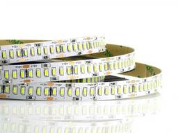Светодиодная LED лента гибкая Prolum Series "S" 12V IP20 SMD3014 240led Белый (5500-6000К)