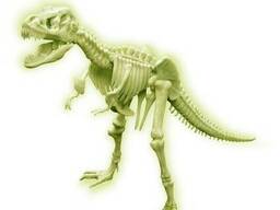Світний скелет тиранозавра (набір для складання) 4M (00-03420)