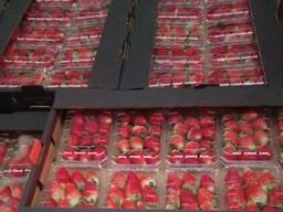 Свежая клубника Fresh Strawberry
