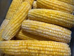 Свежемороженая Кукуруза в Початках