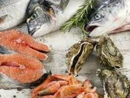 Свежемороженная рыба и морепродукты, оптом и в розницу.