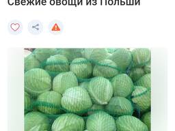 Свежие овощи.