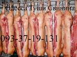 Мясо Туши Свинина Одесса - фото 2