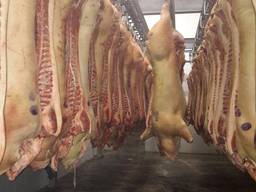 Свинина Туша Одесса