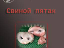 Продам свиные пятаки
